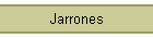 Jarrones